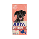 Cat toy bundle with interactive designs – shop affordable pet supplies UK at Petive