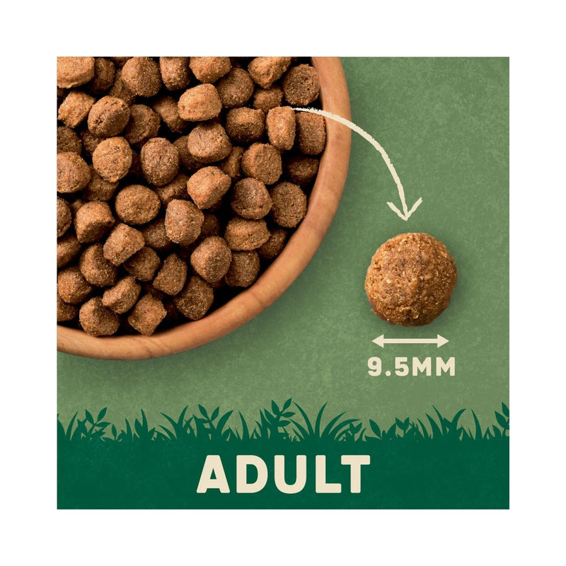 Harringtons Lamb & Rice Dog Food – 15kg