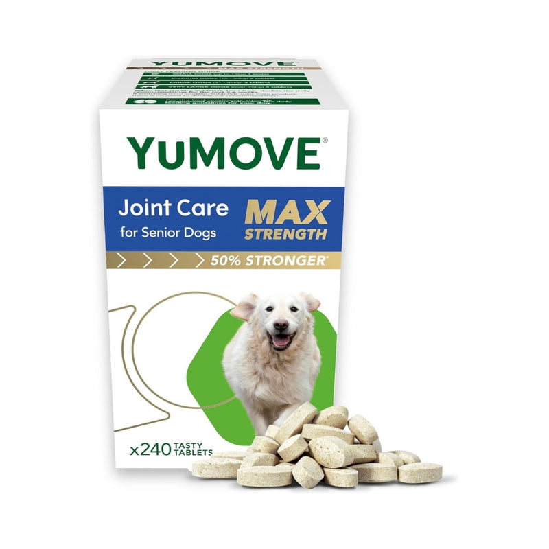 Fresh pet dog food supplements designed to boost energy and vitality