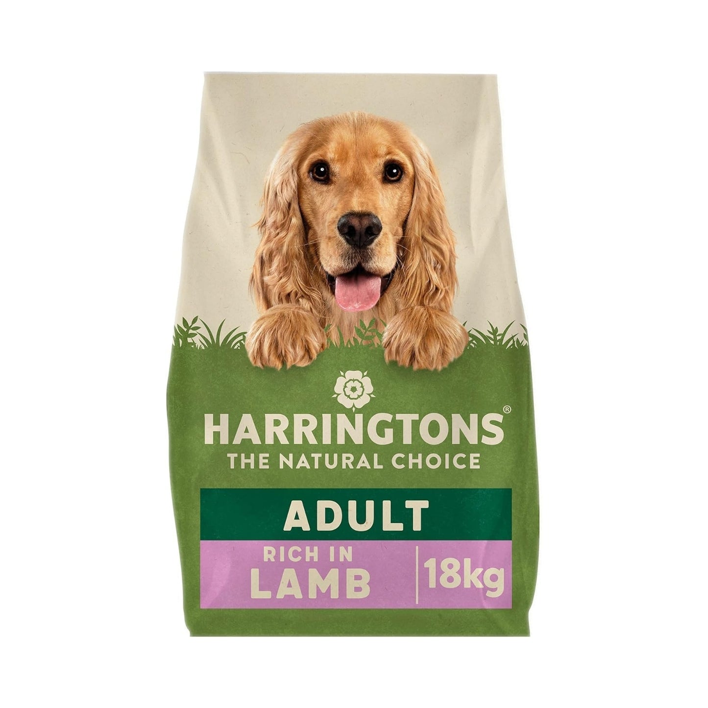 Premium dog food display featuring healthy air dried and freeze dried options