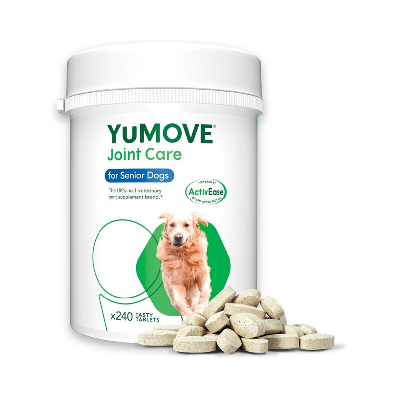 Fresh pet dog food supplements designed to boost energy and vitality
