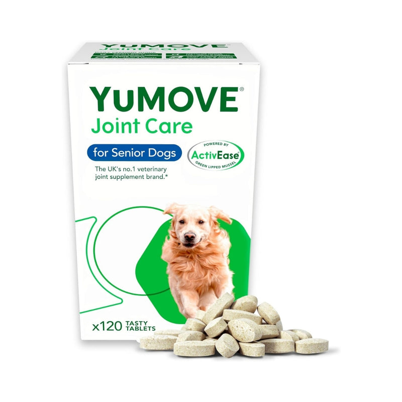 Fresh pet dog food supplements designed to boost energy and vitality