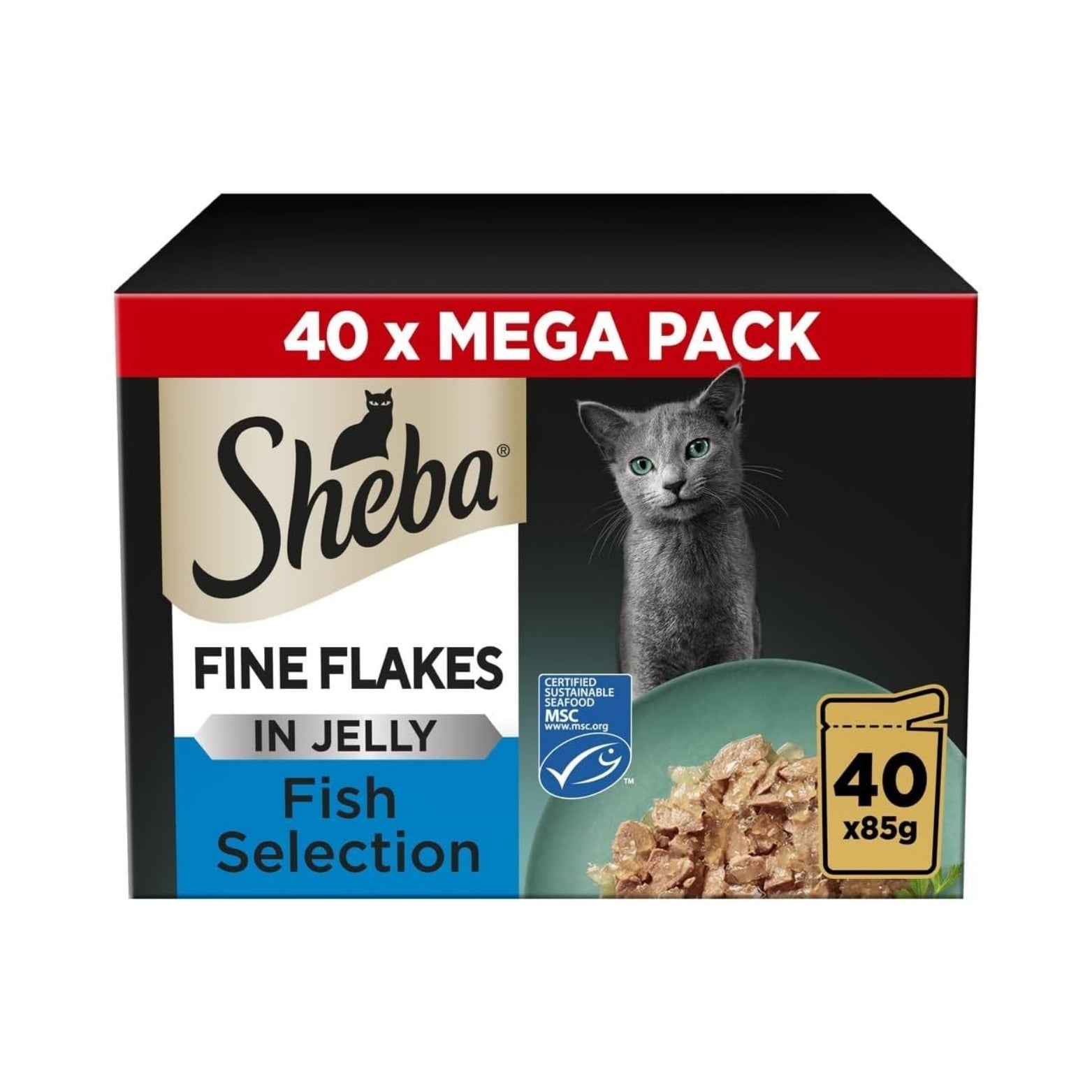 Dry cat food selection – nutritious and delicious choice for everyday feeding