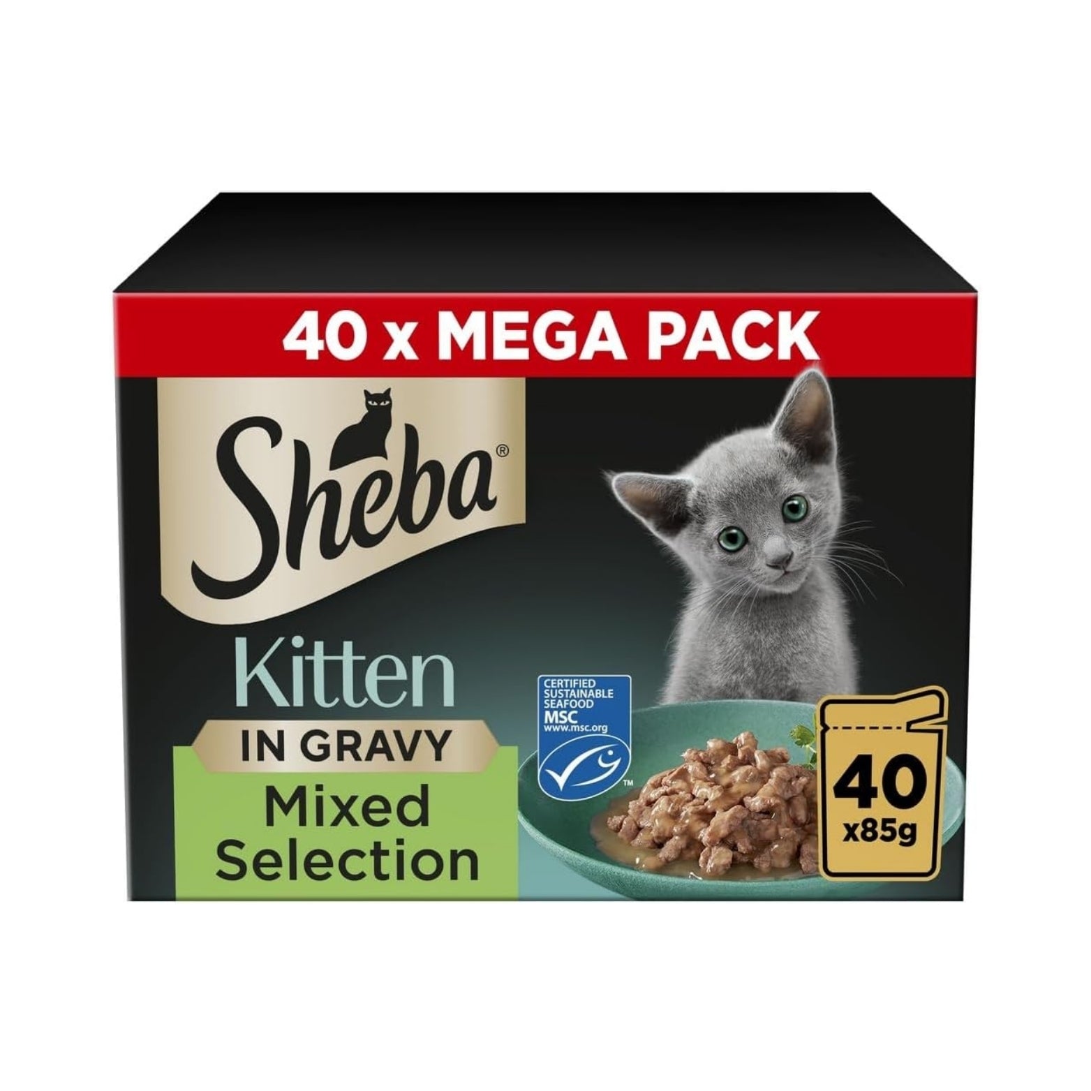Healthy kibble variety – best dry food for cats with balanced nutrition