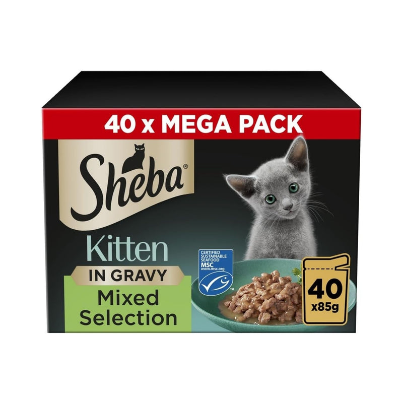 Healthy kibble variety – best dry food for cats with balanced nutrition
