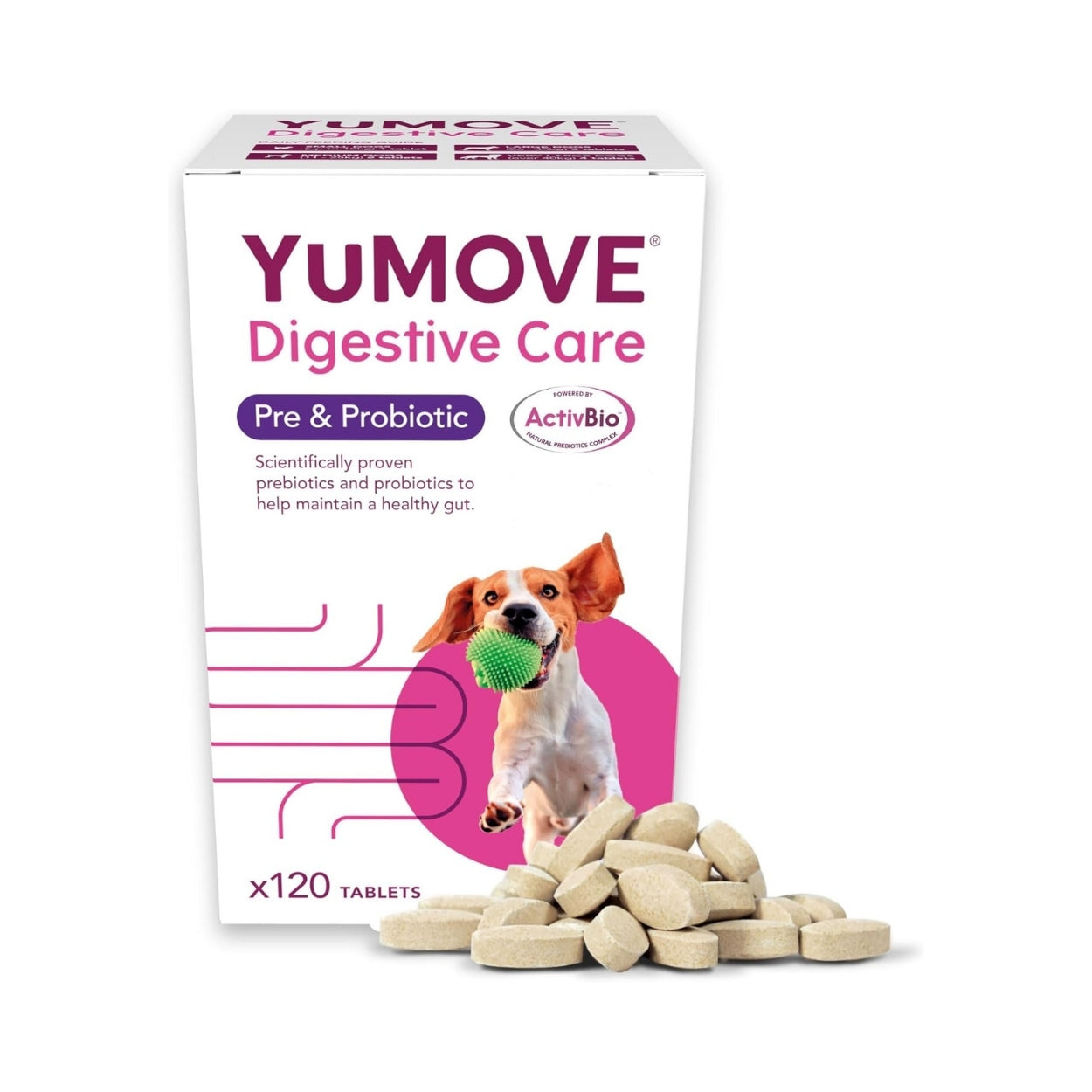 Fresh pet dog food supplements designed to boost energy and vitality