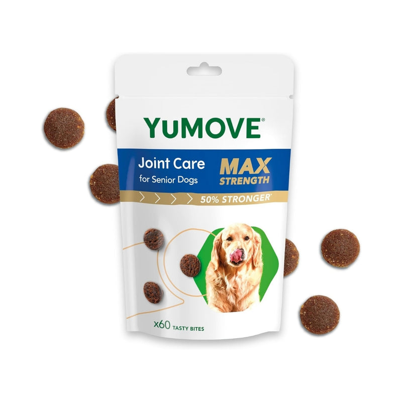 Fresh pet dog food supplements designed to boost energy and vitality
